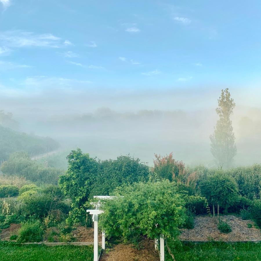 Tracy'S Boutique B&B Farmstay Wellsford Luaran gambar