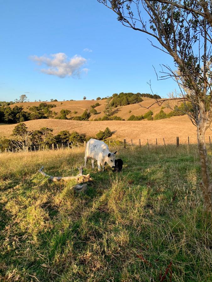 Tracy'S Boutique B&B Farmstay Wellsford Luaran gambar
