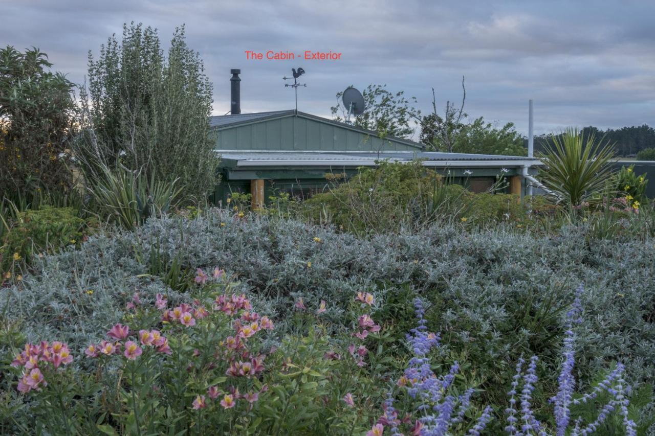 Tracy'S Boutique B&B Farmstay Wellsford Luaran gambar